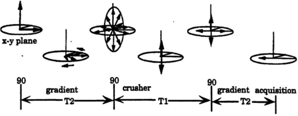 Figure  5:  Vector  diagram  for the  stimulated  echo pulse  sequence  (from Callaghan 1991)