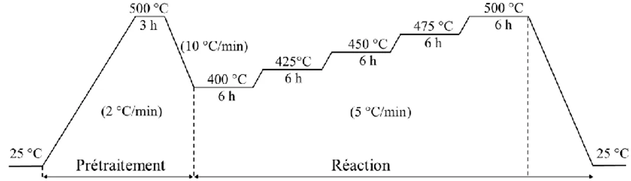 Figure III-2 : Profil de température au cours du prétraitement et de la réaction d’ODHP 