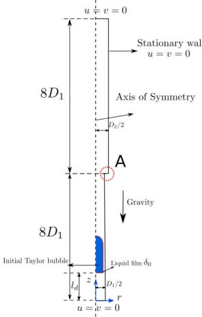 Illustration of the bubble features