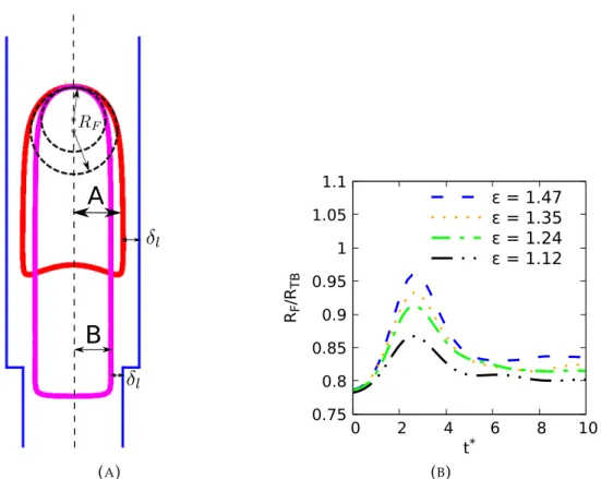 Fig. 4.33 shows the Taylor bubble rising in the expansion at t ∗ = 3 for different expansion ratios