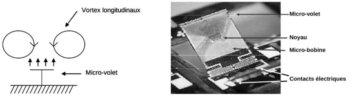 Fig. 1. 17. Effet des micro-volets sur les tourbillons contra-rotatifs de couche limite turbulente