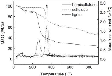 Figure 1.4 : Dégradation thermique des principaux constituants du bois dans une étude menée par Yang  et coll