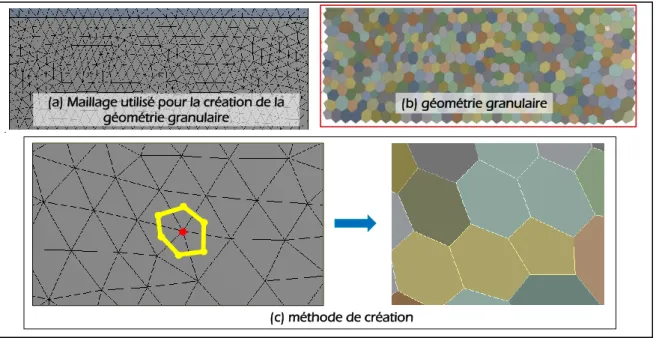 Figure 20 : Méthode de création de la géométrie granulaire utilisée dans le modèle 