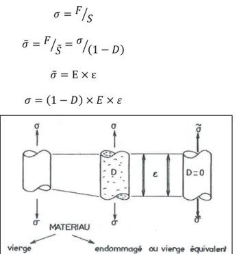 Figure 29 :  Endommagement : application en traction 1D (d’après [28])  1.2.2.2. Application aux joints de grain 