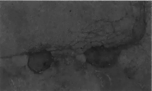 Figure  4:  Conversion  to  grayscale