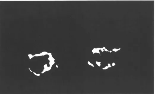 Figure  6:  Image  binarization  and  inversion