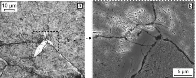 Fig. 1.40: Typical WEA bordering cracks of a multi-branching WEC network in (a) a LOM and   (b) SEM micrographs of an etched cross section of a gearbox TRB IR (from [29])