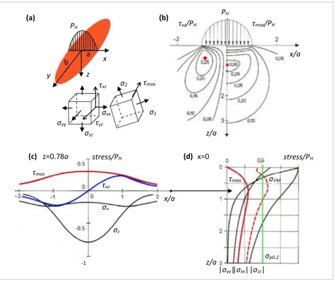 Fig. 1.9: (a) Infinitesimal orthogonal stresses and principal stresses beneath a hertzian contact; (b)  Contours of the orthogonal shear stress τ xz  and Tresca shear stress τ max  for a line contact, highlighting their 