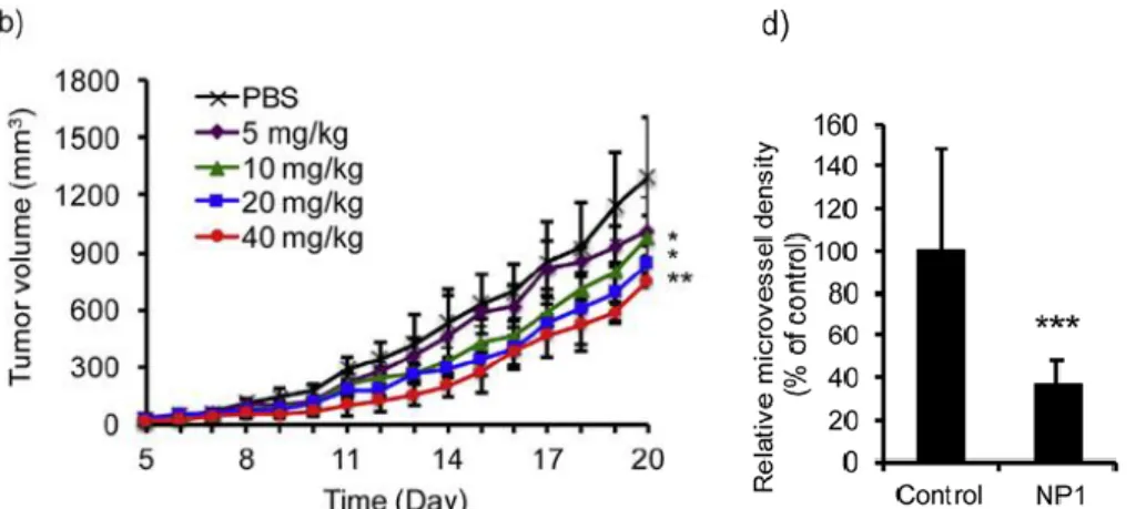 Figure 25 : Ralentissement de la croissance tumorale (b) par inhibition de l'angiogenèse (d) in vivo 97 , après injection de  polymères à empreintes de protéines (NP1) à différentes concentrations dans un tampon PBS