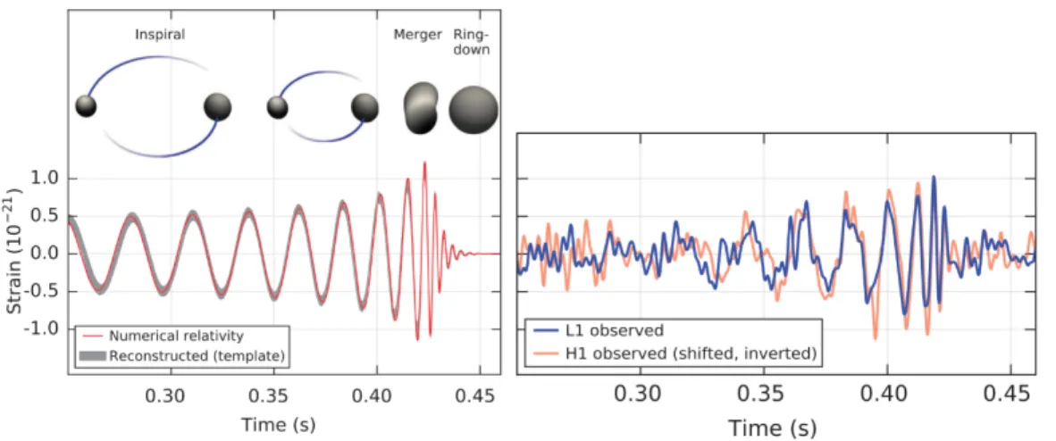 Figure 2.2: From reference [37]. Left panel: Estimated strain amplitude produced by the GW150914 event, as the black holes collapsed with each other (numerical relativity model)
