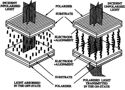 Figure 2-6:  Schematic  of the  liquid  crystal  display.  [4]