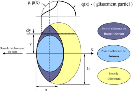 Figure  1–22. Zones d'adhérence et de glissement dans un contact elliptique : Théorie de Haines – Ollerton et  Théorie de Johnson 