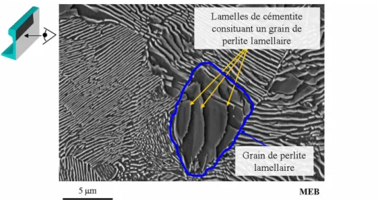 Figure  2–4. Perlite lamellaire attaquée au Nital et observée au MEB (image LaMCoS) 