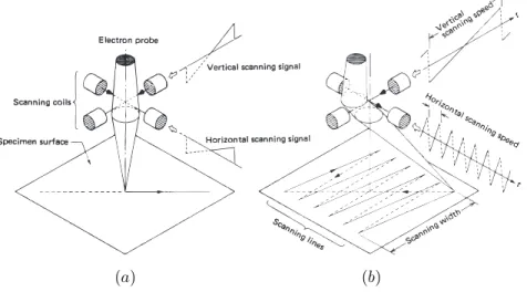 Figure 3.9.: Examples of signals and their produced scan. (a) Diagonal scan; (b) Square area scan