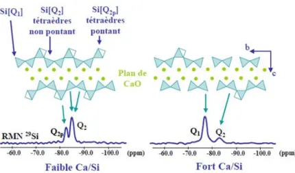Figure  12 :  Structure  atomique  de  CSH  à  faible  et  fort  rapport  C/S,  identifiés  par  des  essais  de  résonance  magnétique nucléaire du silicium 29 [RMN  29 Si]