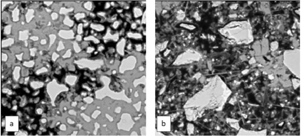 Figure 20 : Observation MEB à 1 jour d’hydratation (dimension zone : 80 µm) : a) pâte de C 3 S et b) pâte de  ciment Portland