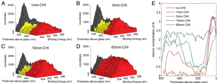 Fig. 2. Diffusion of chitosan into hydrogen-bonded ﬁ lms. Spectra of hydrogen-bonded (PAA3/PEO3) ﬁ lms exposed to chitosan solution for different amounts of time: (A) 1-min exposure, (B) 3-min exposure, (C) 10-min exposure, and (D) 60-min exposure to chito