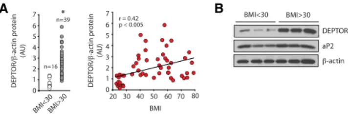 Figure S5G). This was associated with a reduction in PPAR-g protein levels and mRNA expression of genes controlled by PPAR-g (Figures 5G–5I and Figure S5H)