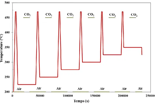 Figure III-15 : Cycle thermique adopté pour la mesure les réponses sous CO 2  des couches