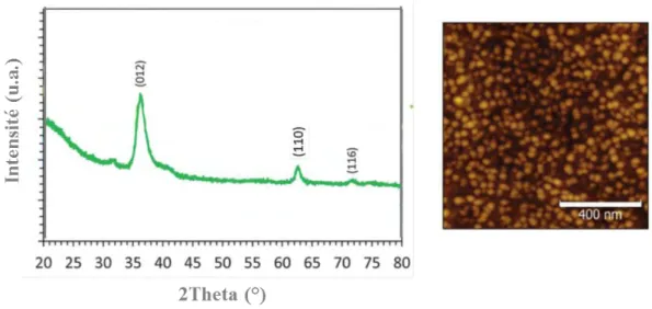 Figure III-23 : Diffractogrammes des rayons X et image AFM  d’une couche de CuCrO 2  : Mg recuite sous vide à  600°C pendant 4h (e = 300 nm)