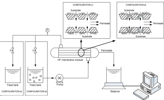 Figur e 1: Schematic representation of simple microfiltration (a), free enzyme membrane  bioreactor (b), solo surface activated biocatalytically active membrane reactor (c) and  surface plus pore activated biocatalytically active membrane reactor (d)