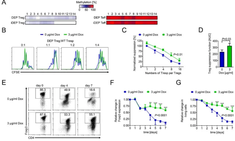 Figure 3. DEPTOR augments Treg stability and function in vitro.