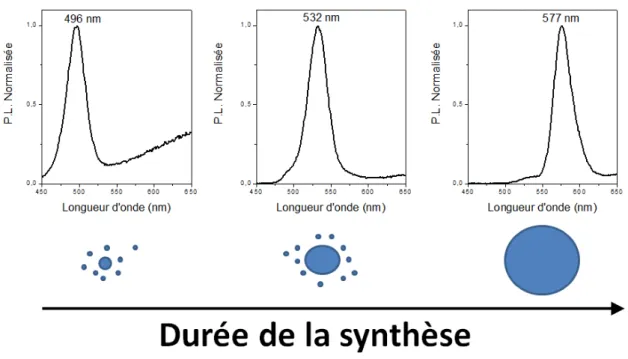Figure 3.2.2: Évolution du spectre de fluorescence de nanocristaux sphériques au