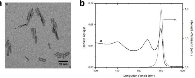 Figure 3.3.2: Nanoplaquettes CdSe de cinq monocouches d’épaisseur a. Image en microscopie électronique b