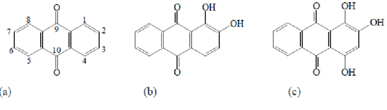 Figure 2 : Structures chimiques de l’anthraquinone (a), de l’alizarine (b) et de la purpurine (c)  La propriété d’absorption de la lumière de ces colorants provient de la conjugaison des doubles  liaisons C-C ainsi que des liaisons doubles C-O