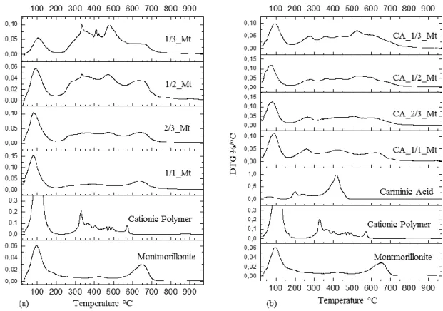Figure 14: DTG curves of (a) raw Mt and its hybrid derivatives with the cationic polymer and  (b) raw Mt and the composites based on CA-CP-Mt
