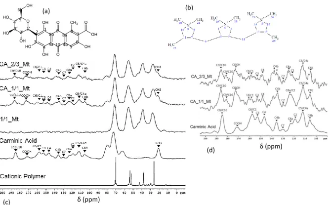 Figure 16: (a) carminic acid structure (b) Cationic polymer structure (c) NMR spectra of hybrid  materials, cationic polymer and carminic acid and in insert (d) zoom in the 100-200 ppm region