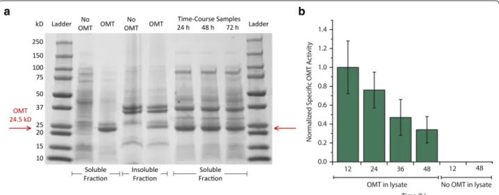 Fig. 2  Expression and activity data suggests principal limitation is not heterologous O-methyltransferase
