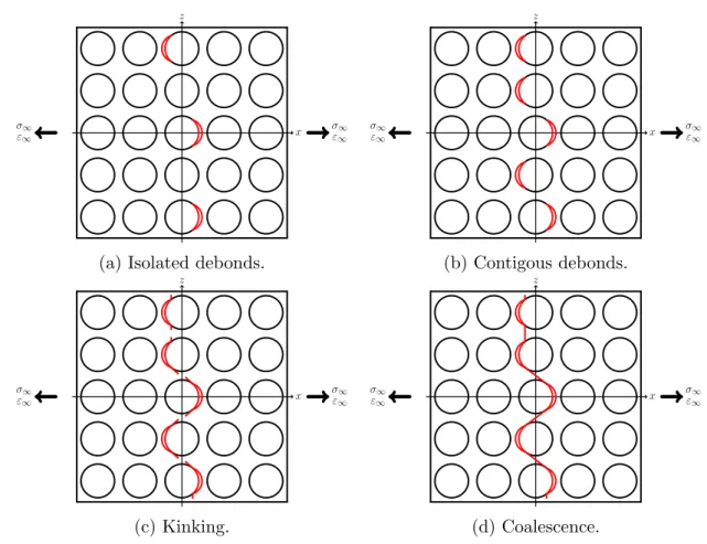 Figure 1.11: Schematic representation of the formation of a transverse crack across the ply thickness.