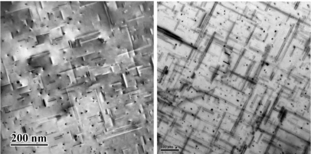Figure 2-1: a) Bright-field TEM observations of the 
