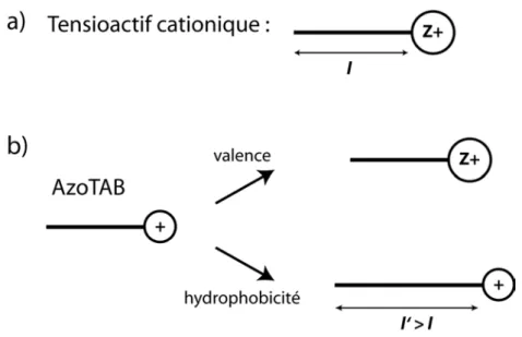 Figure 2.1  Les deux stratégies pour augmenter l'anité d'un tensioactif cationique pour l'ADN.
