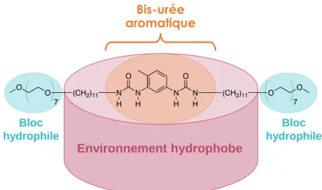 Figure 33. Structure du bolaamphiphile bis-urée aromatique hydro- et organosoluble (adaptée à partir  de la référence 179)