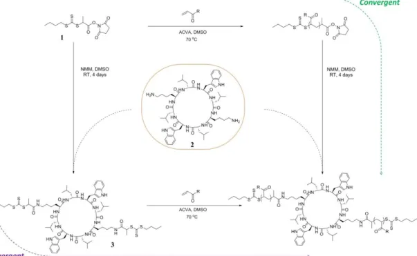 Figure  44.  Schéma  réactionnel  de  synthèse  d’hybrides  polymère-peptide  cyclique par  deux  voies  d’obtention : « grafting to » et « grafting from » (extraite de la référence 193)