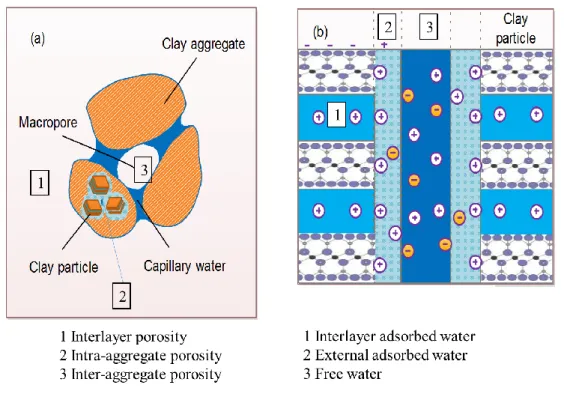 Figure 2.6 Schematic representation of clay soil structures at macroscopic and microstructural level   (Modified after  Lei (2015)) 