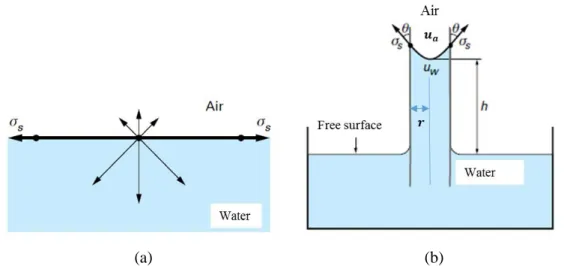 Figure 2.10 Schematic illustration of (a) surface tension at the gas-liquid interface (b) matric  suction generated by meniscus concave on the air side  
