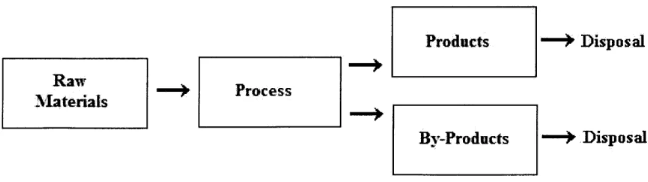 Figure  1  - Process  Linearity Schematic