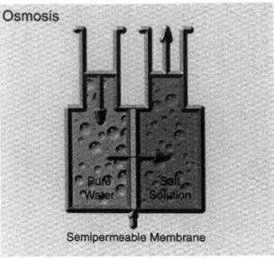 Figure 4 - Osmosis  Schematic