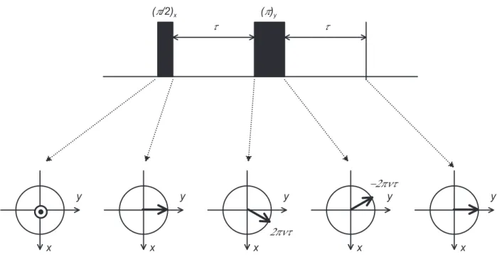 Fig. 1.5 – Séquence d’écho de spin (séquence de Hahn)