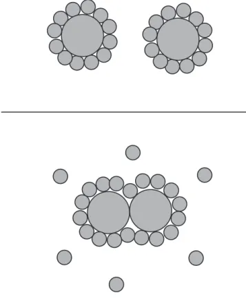 Fig. 4.3 – Effet du contact de deux particules sur les molécules du solvant