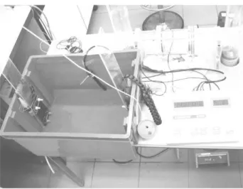 Fig. 4.13 – Dispositif de test pr´ealable des ´electrodes de mesure en platine. 05 1015202530 0 7 14 21 28 35