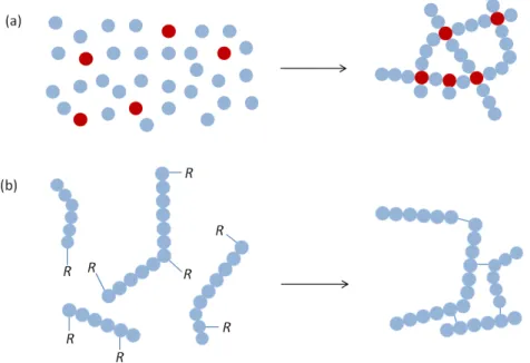 Figure 1.1  Synthèse d’hydrogels par polymérisation et réticulation simultanées à partir de monomères  (a) et par réticulation de chaînes polymères fonctionnalisées (b)