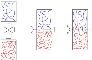 Figure 1.5  Les trois étapes successives aboutissant à la création d’une interphase diffuse responsable de  l’adhésion des deux matériaux : (gauche) mise en contact des deux surfaces, (centre) 