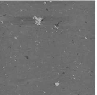 Fig. 6. AFM image of puriﬁed Aldrich humic acids at pH 10 adsorbed on mica. Scale: