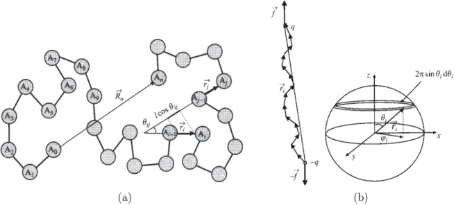Figure 1.13. Modèle de Physique des polymères. (a) La molécule est représentée par un en- en-chaînement de n + 1 atomes avec des liaisons d’égale longueur l