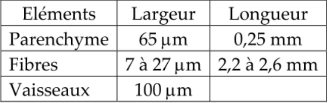 Tableau 3: Dimensions moyennes des différents éléments du bambou 