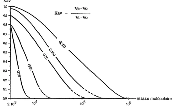Figure  3.- Evolution des Kav en fonction de la masse moléculaire (échelle logarithmique) pour des  protéines globulaires (ANDREWS, 1964) 